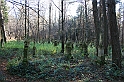 Rostoczek 11.2008 383